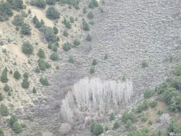 Virginia City, NV 89440,00430124 Mount Davidson