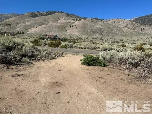 635 Hawkins Peak, Woodfords, CA 96120
