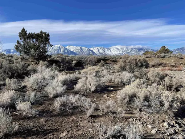 Gardnerville, NV 89410,1290 Jo LN Lane