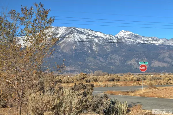 Washoe Valley, NV 89704,4800 Leo Bingo CT Court