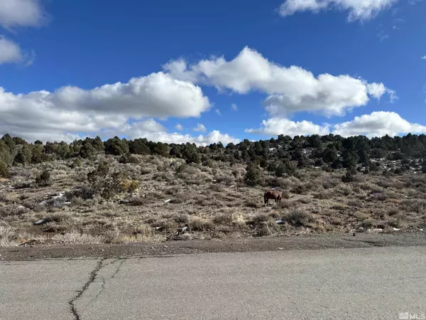 Reno, NV 89521,14A Lousetown RD Road