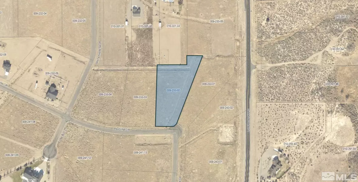 341 Angelina CIR, Wellington, NV 89444