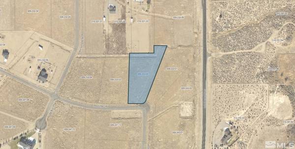 341 Angelina CIR, Wellington, NV 89444