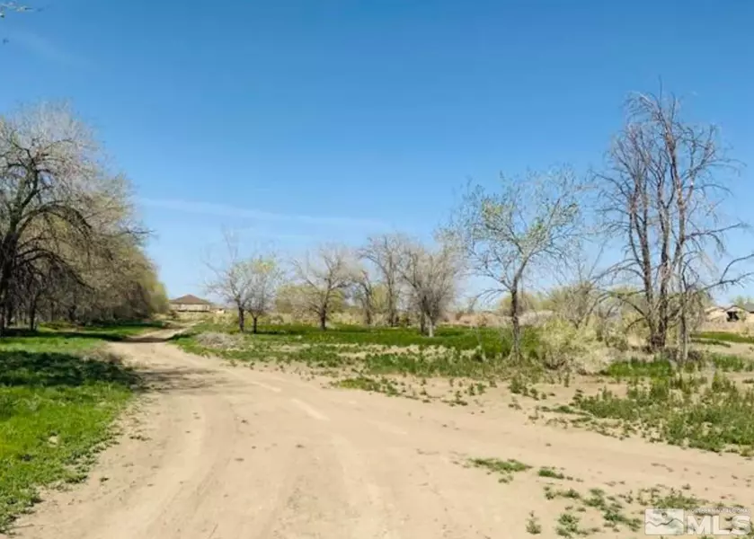 Off of Maine St 6 Acres, Fallon, NV 89406
