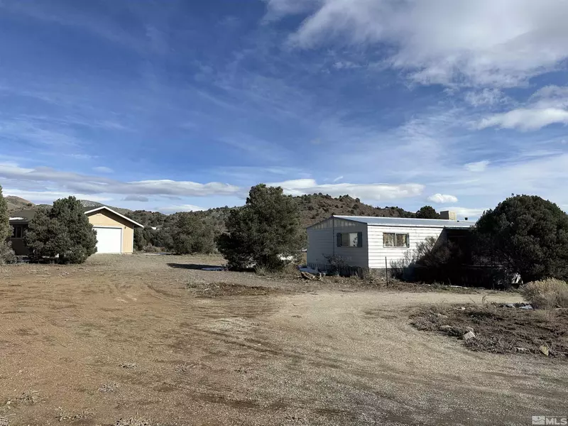 3620 Boulder RD, Wellington, NV 89444