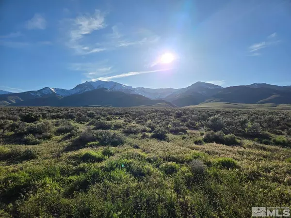 Unionville, NV 89418,11105 Hwy 400