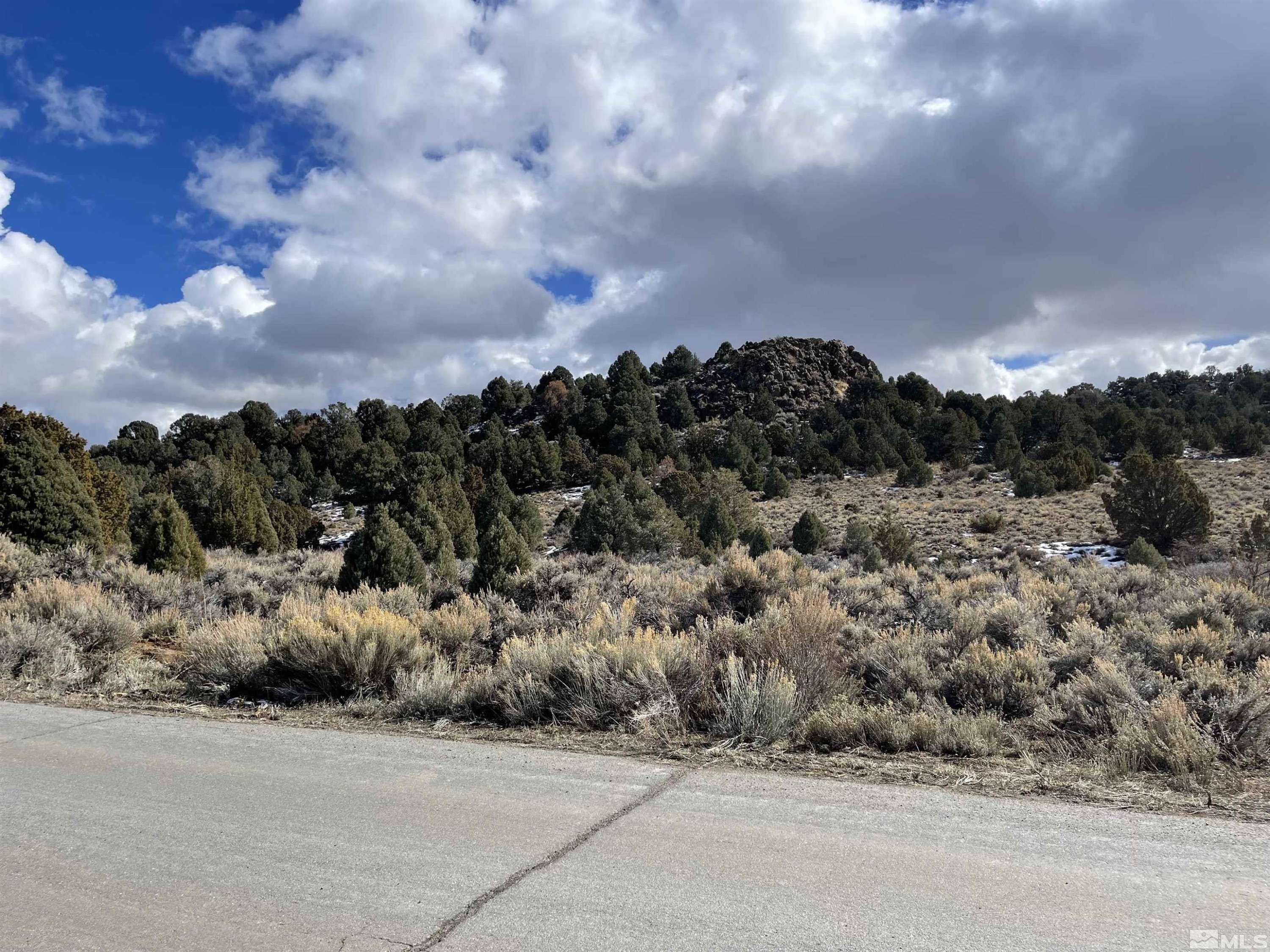 Virginia City, NV 89521,2311 Lousetown RD Road