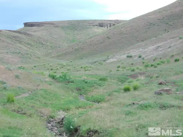 Lot 13 APN 010-100-21, Battle Mountain, NV 89820