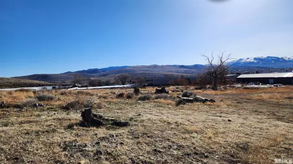 Washoe Valley, NV 89704,04608053 S US Highway 395