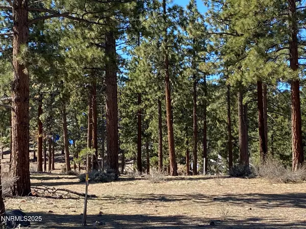 Carson City, NV 89705,185 Dall CT #195