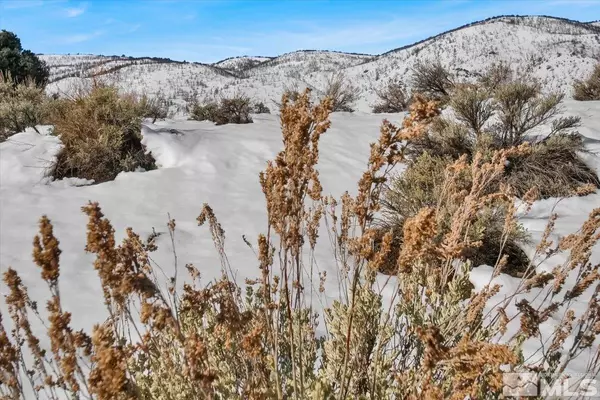 Gardnerville, NV 89410,1534 Bolton LOOP