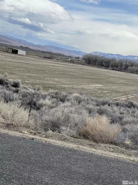 20 ARTIST, Wellington, NV 89444