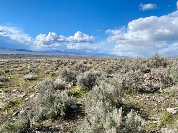 Lovelock, NV 89419,11165 Park Valley