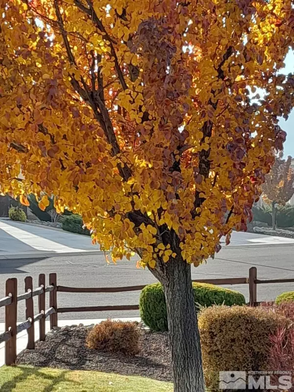 Dayton, NV 89403,200 snakeriver