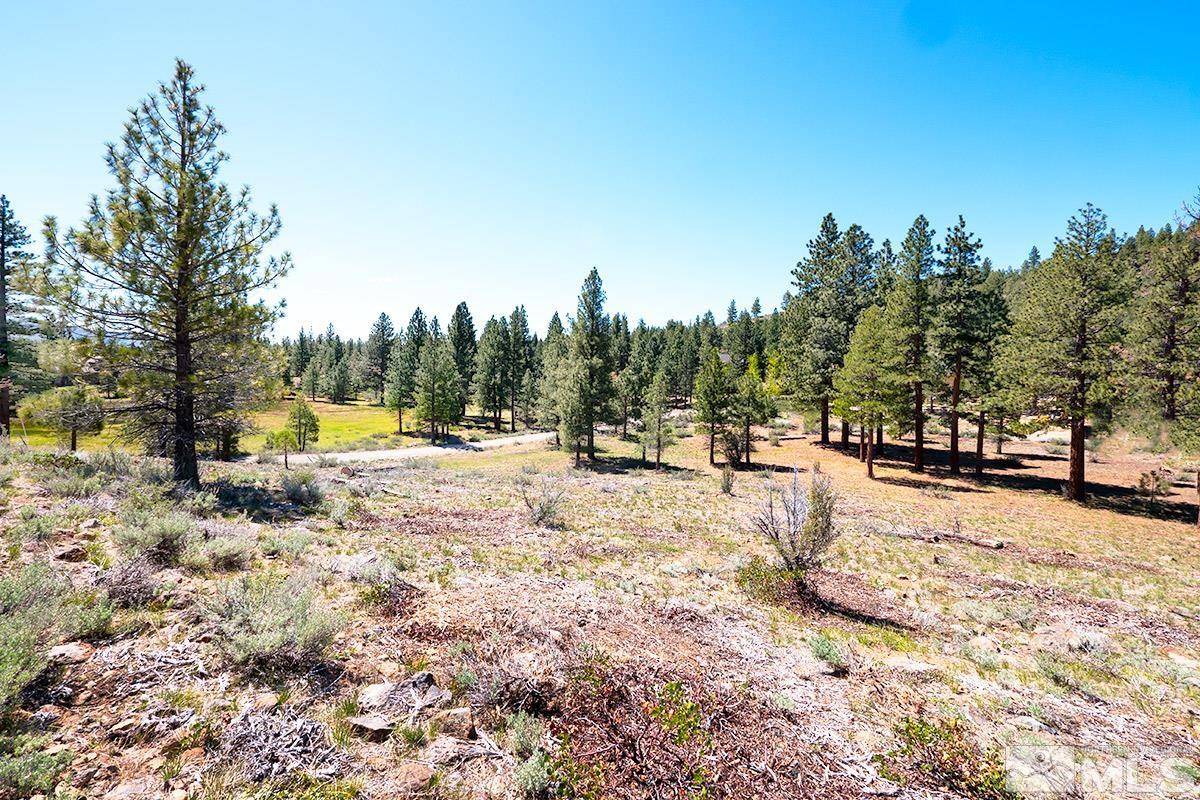 Reno, NV 89511,49 Bennington CT Court