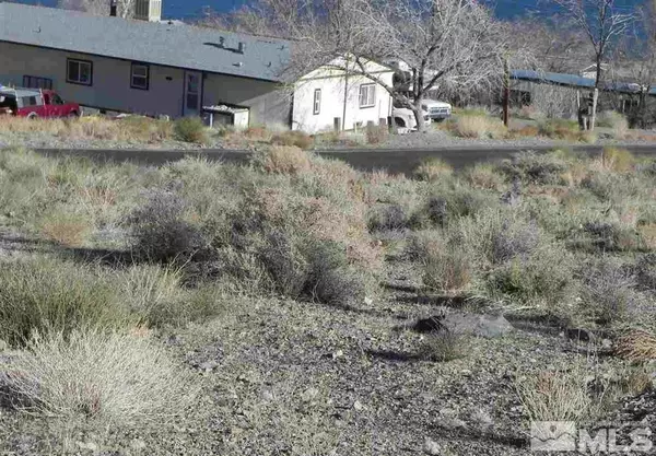 Walker Lake, NV 89415,636 Walker