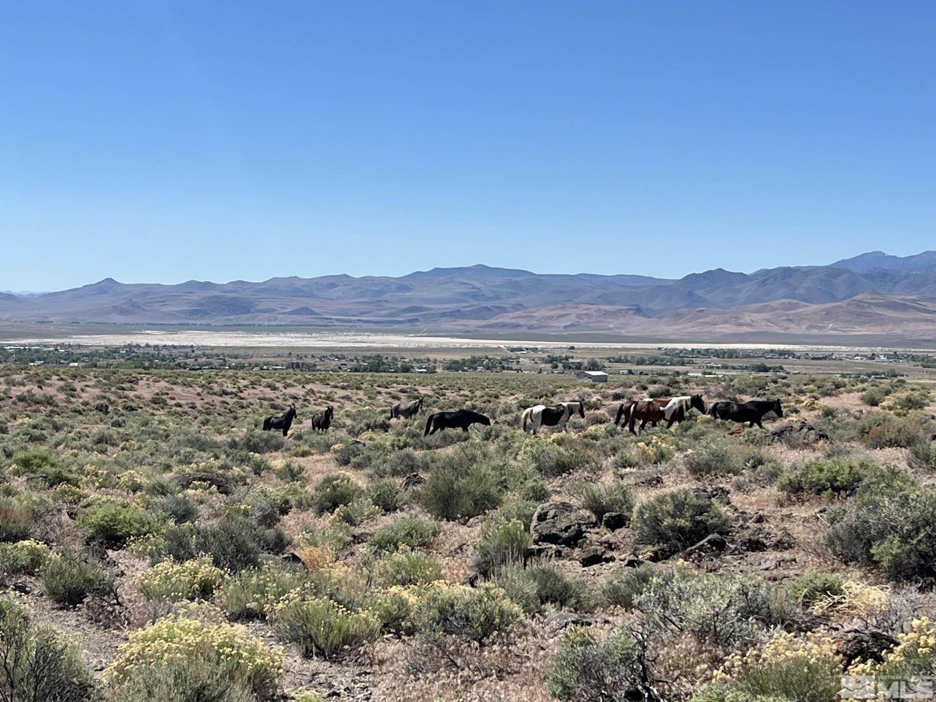 9025 Wildflower RD Road, Stagecoach, NV 89429