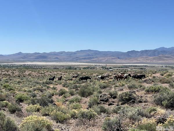 9025 Wildflower RD, Stagecoach, NV 89429