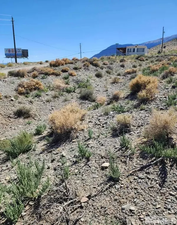 Walker Lake, NV 89415,163 Boyd DR Drive
