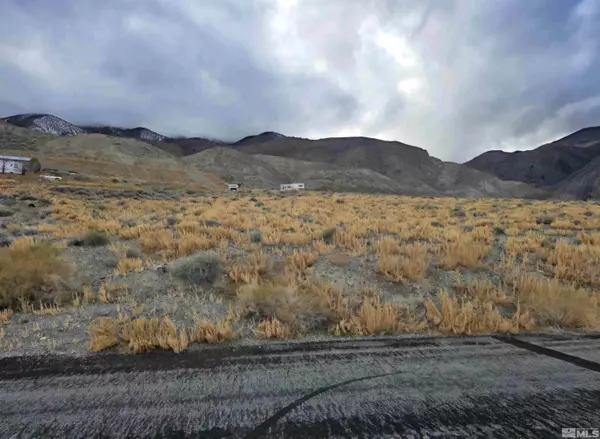 Walker Lake, NV 89415,350 Walker