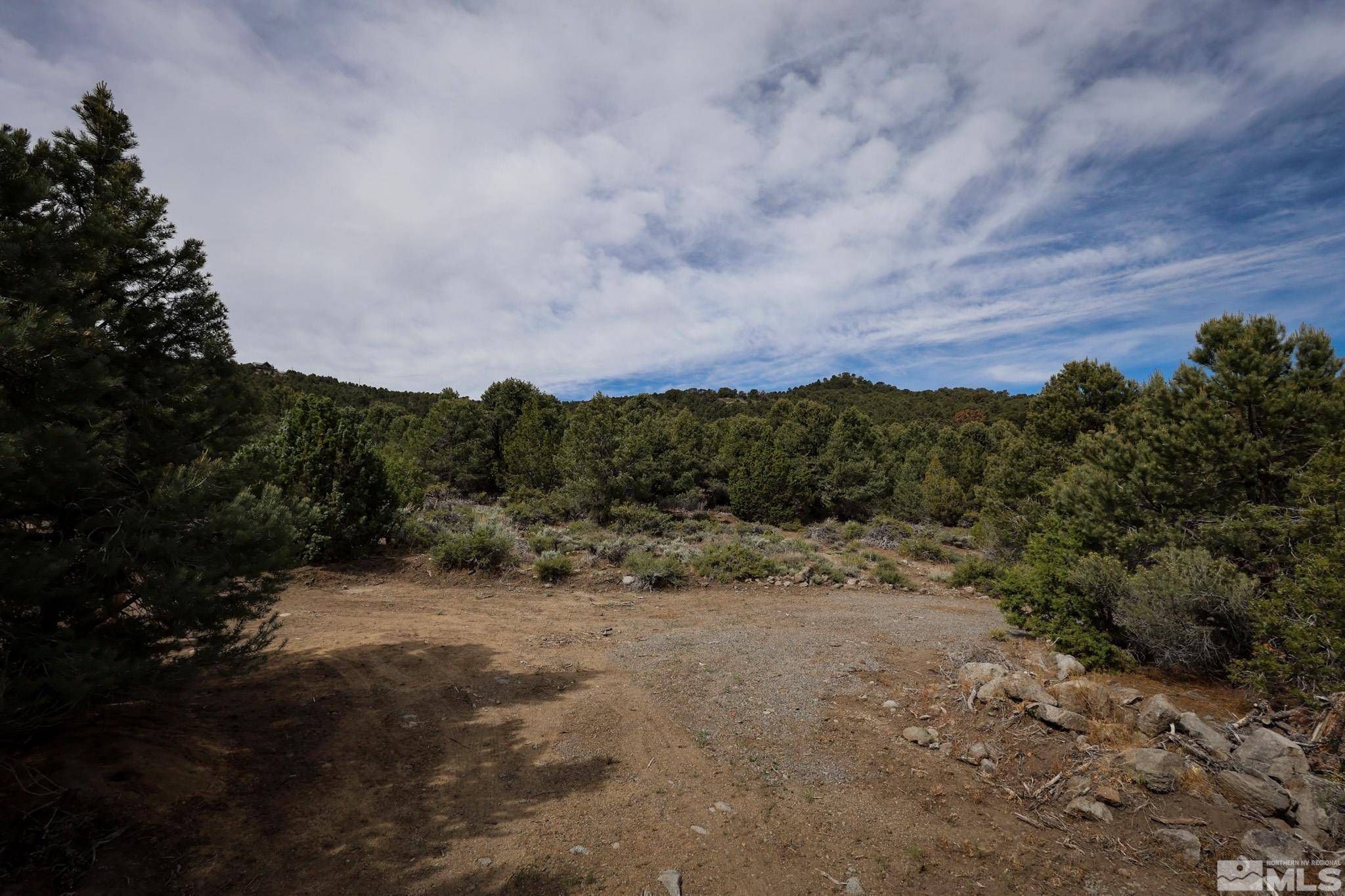 4630 Prospect RD Road, Reno, NV 89521
