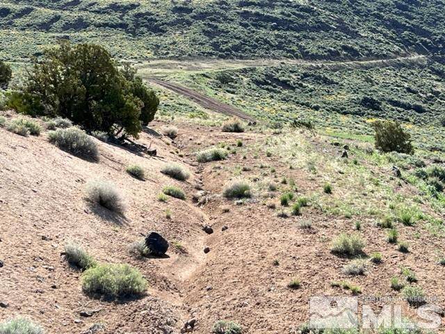 Sparks, NV 89441,Los Arboles LN Lane