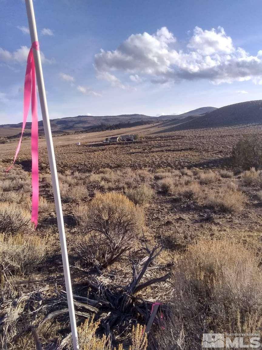 Reno, NV 89510,3395 Basque Oven RD Road