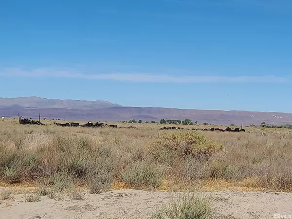 Fallon, NV 89406,750 Sage