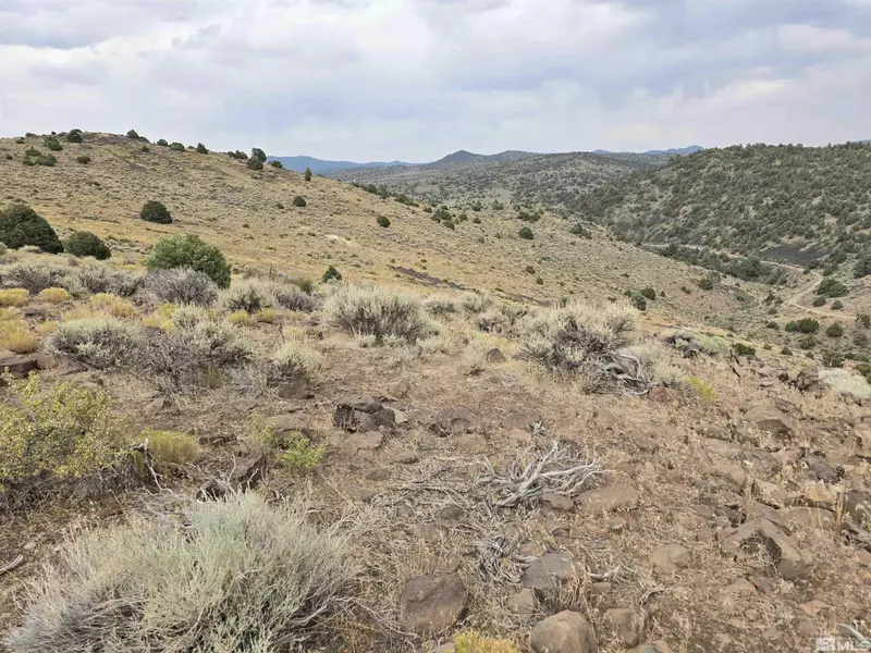 0 004-221-19, Virginia City, NV 89521