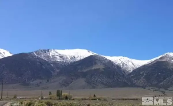 Austin, NV 89310,255 Gillman Springs