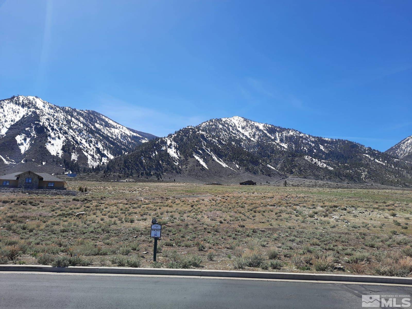 333 James Canyon LOOP Loop, Genoa, NV 89411