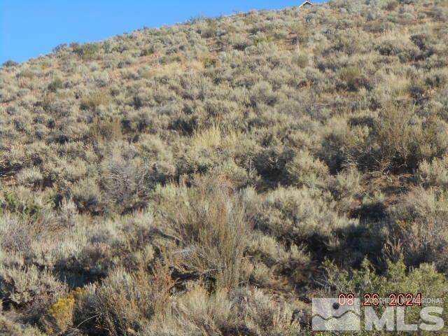 Washoe Valley, NV 89704,4340 Jumbo Grade