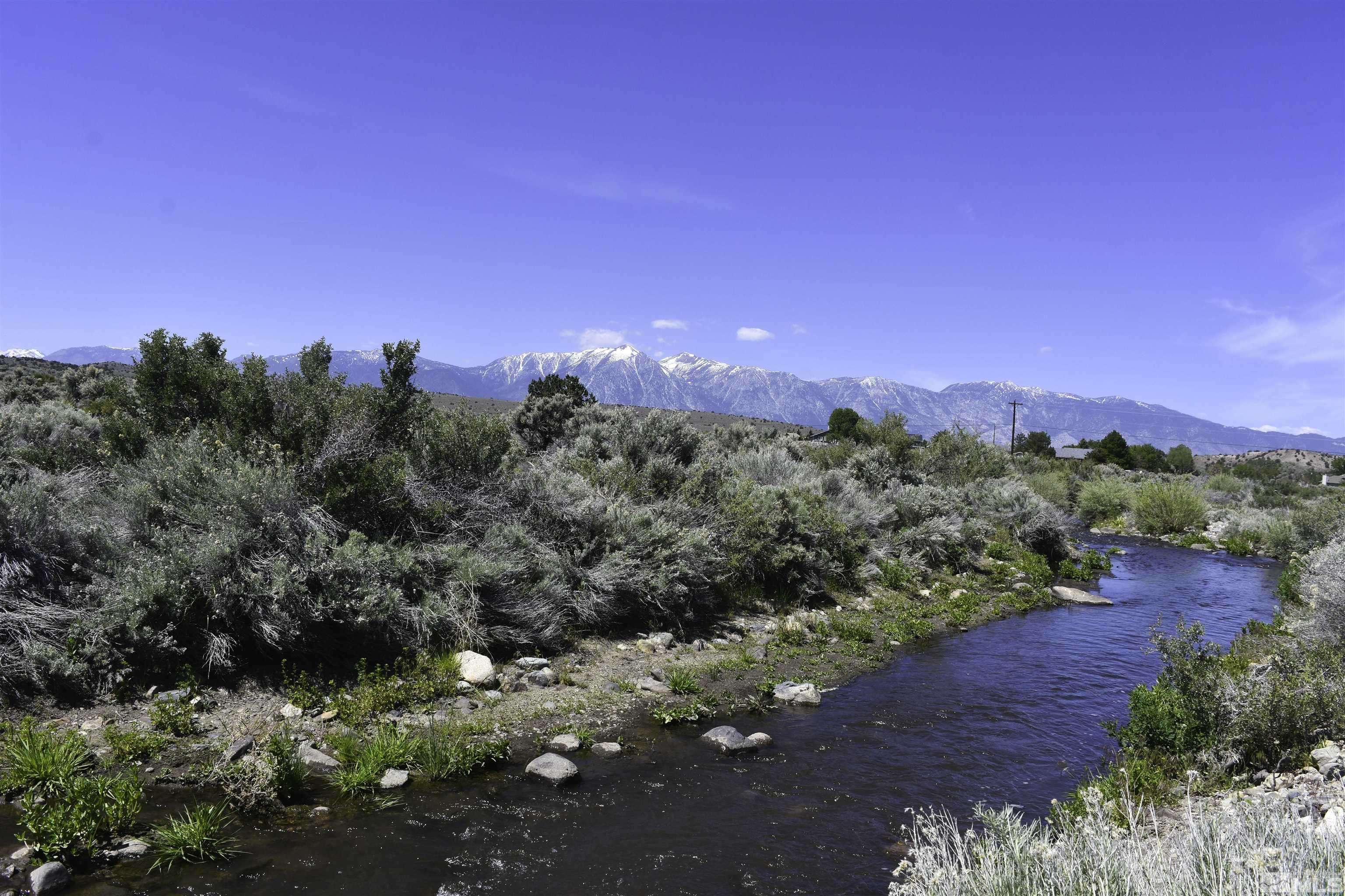 TBD Homestead Lane/APN 1221-04-001-012 Douglas County, Gardnerville, NV 89410