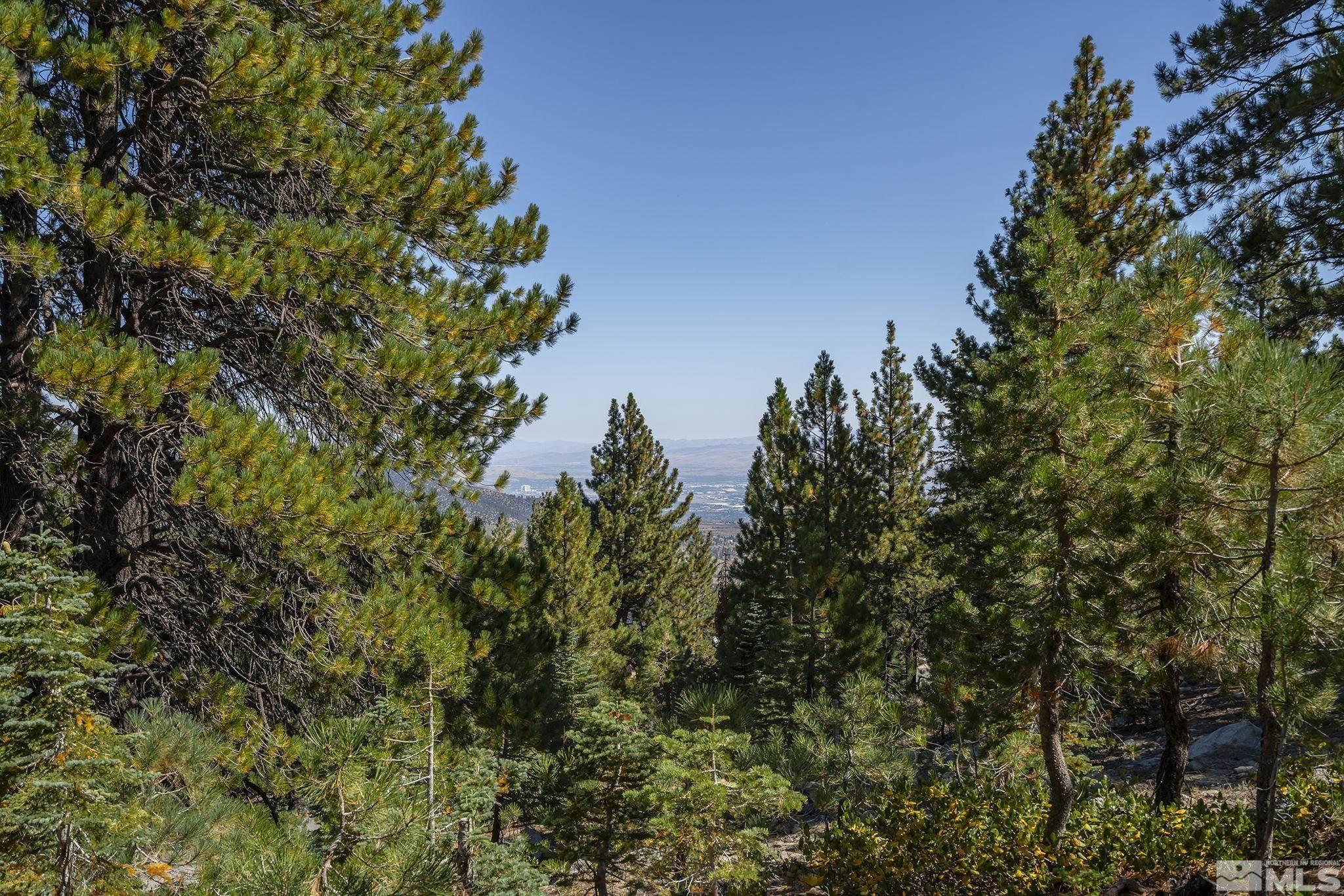 Reno, NV 89511,20755 Old Mt Rose HWY Highway