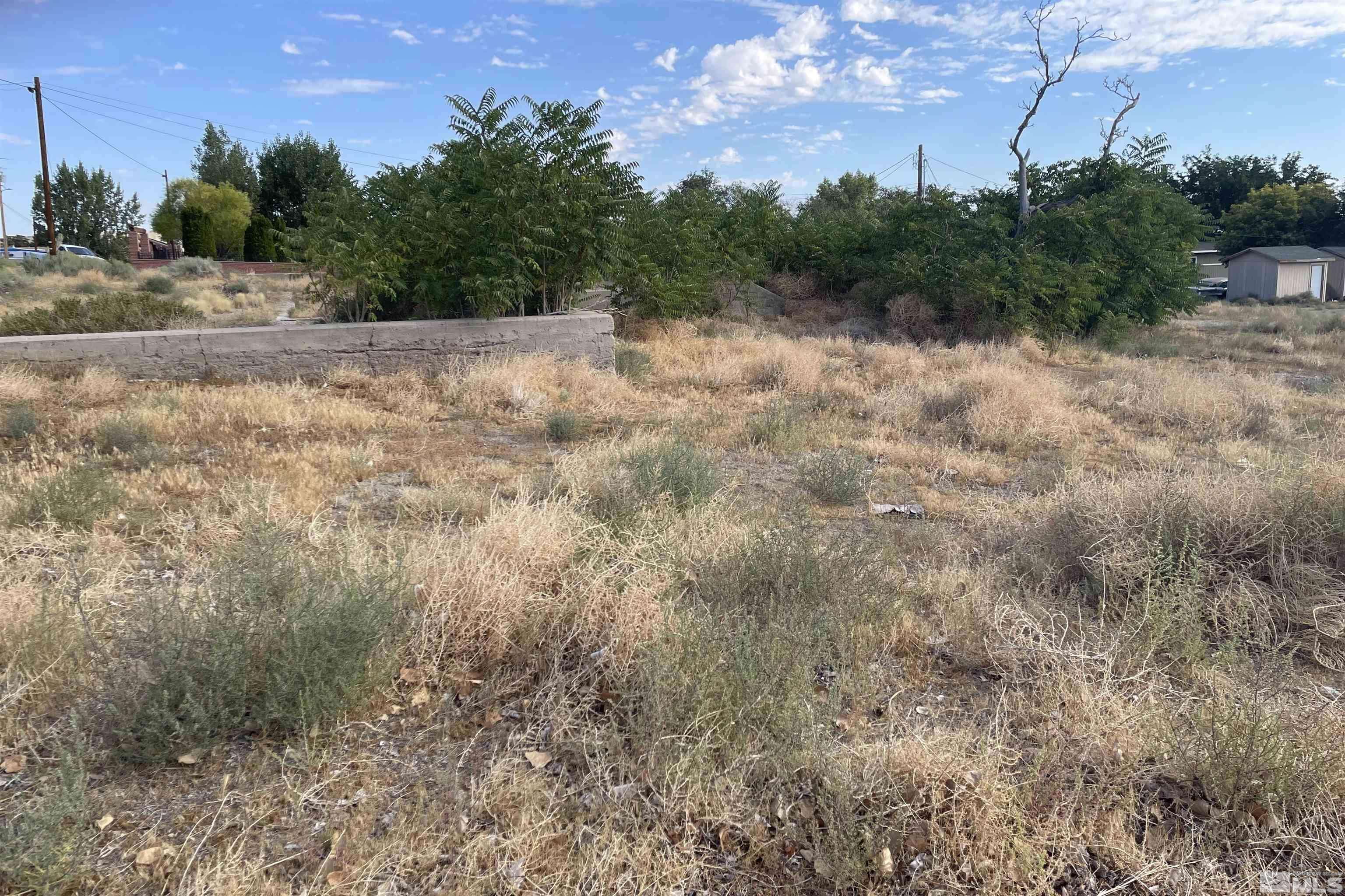 3 & 7 Bridge (Mason), Yerington, NV 89447