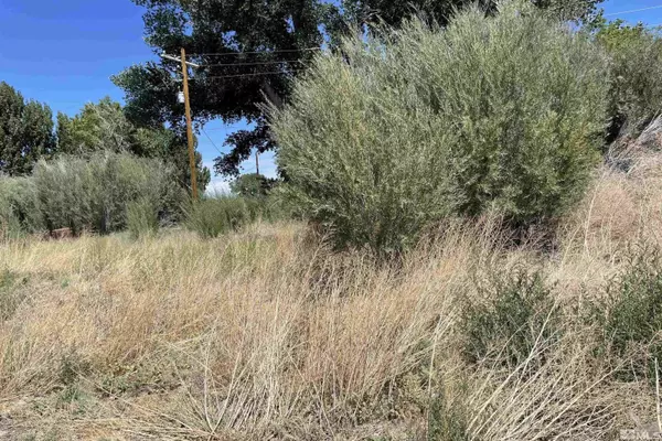 10 Rio Vista DR Drive, Yerington, NV 89447