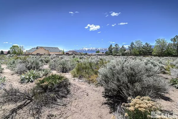 Minden, NV 89423,1521 Stephanie