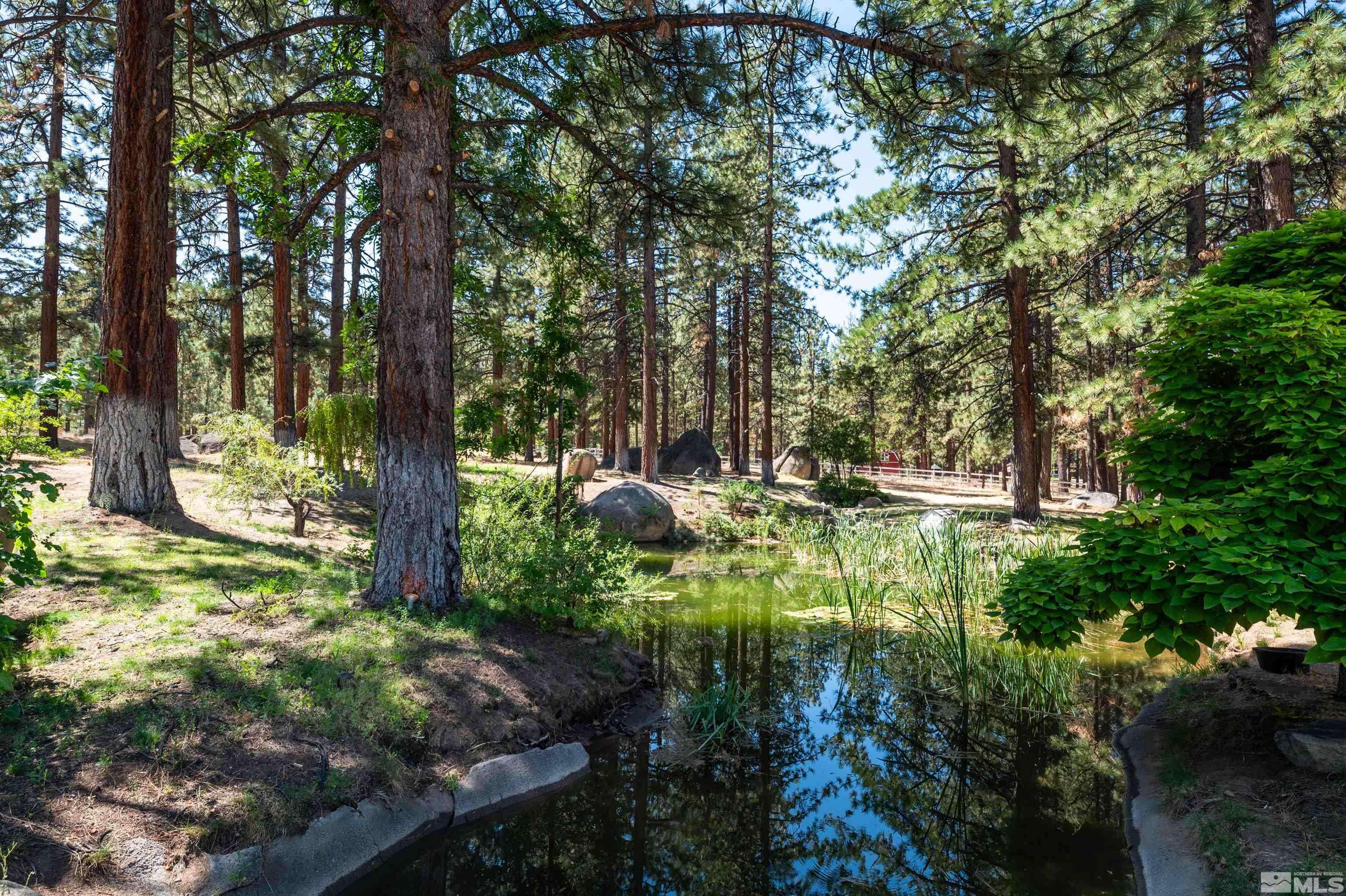 Washoe Valley, NV 89704,7250 Franktown RD Road