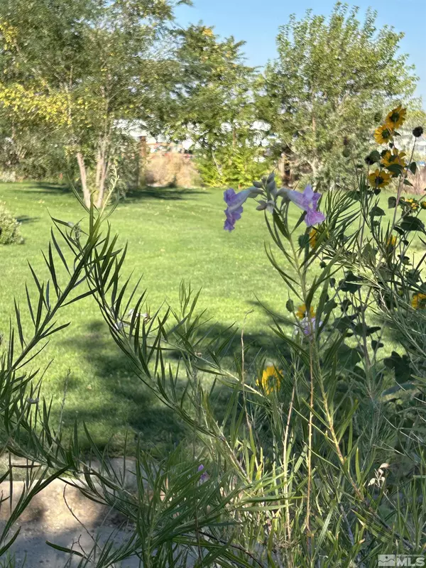 Fallon, NV 89406,13200 Carson HWY