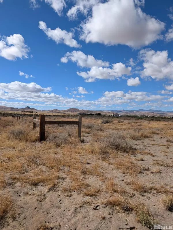 1485 E Badger ST Street, Silver Springs, NV 89429