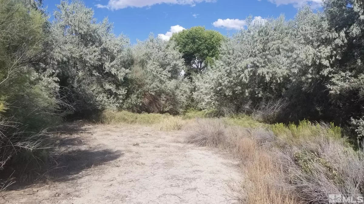 Lovelock, NV 89419,200 Raymond RD Road