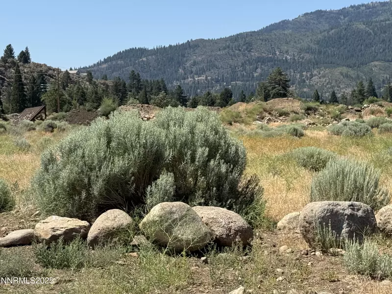 355 River Pines, Verdi, NV 89439