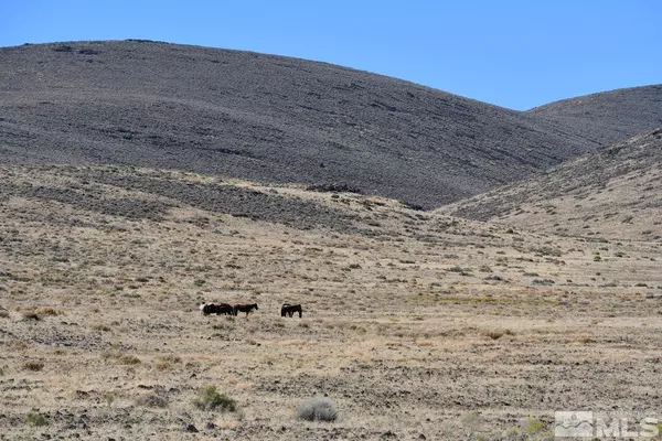 Fernley, NV 89408,06 Hwy 95A