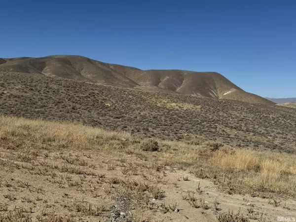 Lovelock, NV 89419,02 Coal Canyon