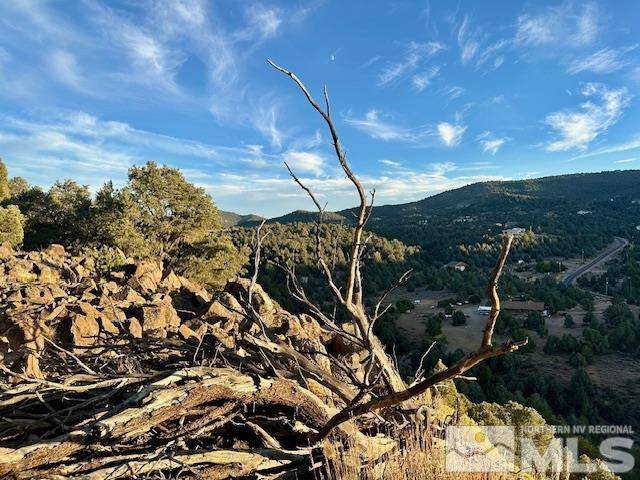 Reno, NV 89521,2051 Lousetown RD Road