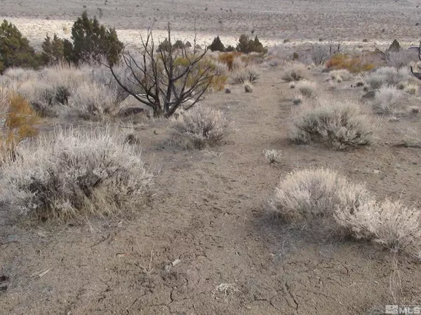 Reno, NV 89508,1265 Freds Mountain