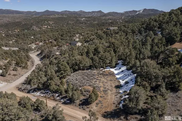 Virginia City, NV 89521,2185 Hermit RD