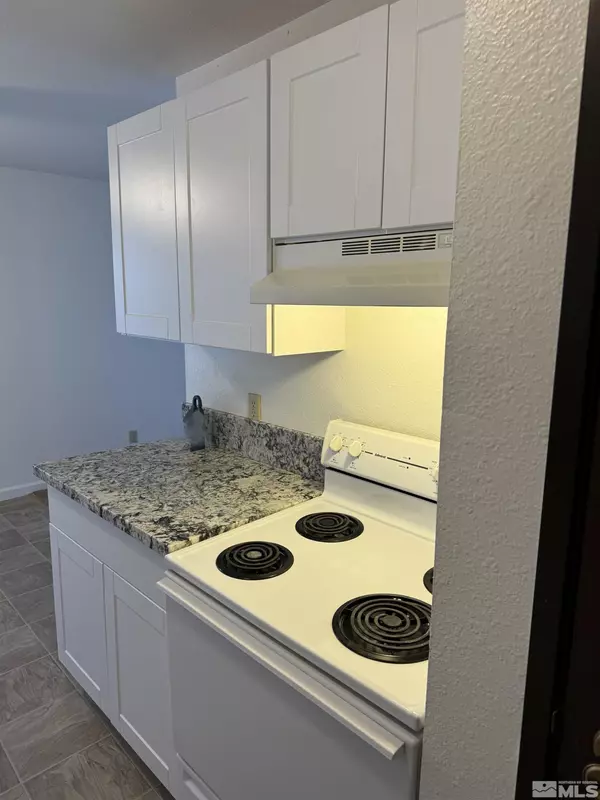 Carson City, NV 89701,400 S Saliman RD #142