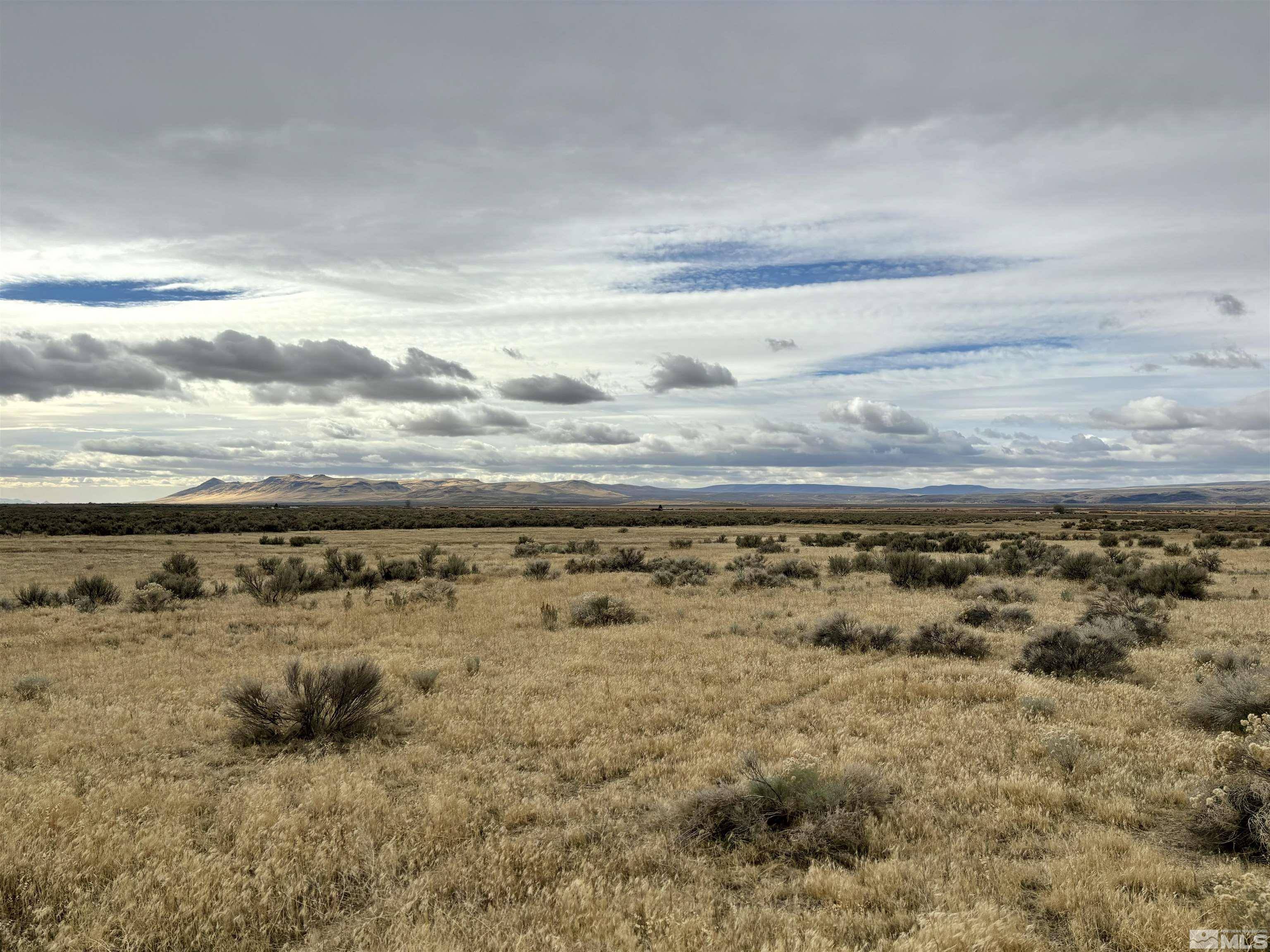Mcdermitt, NV 89421,03074103 Noque RD Road