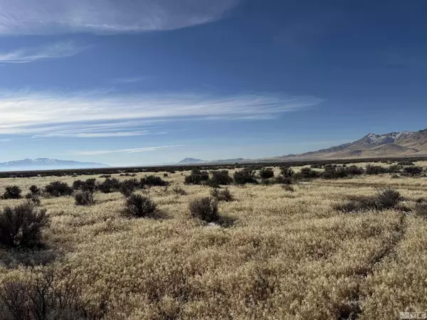 Winnemucca, NV 89445,0 Springfield